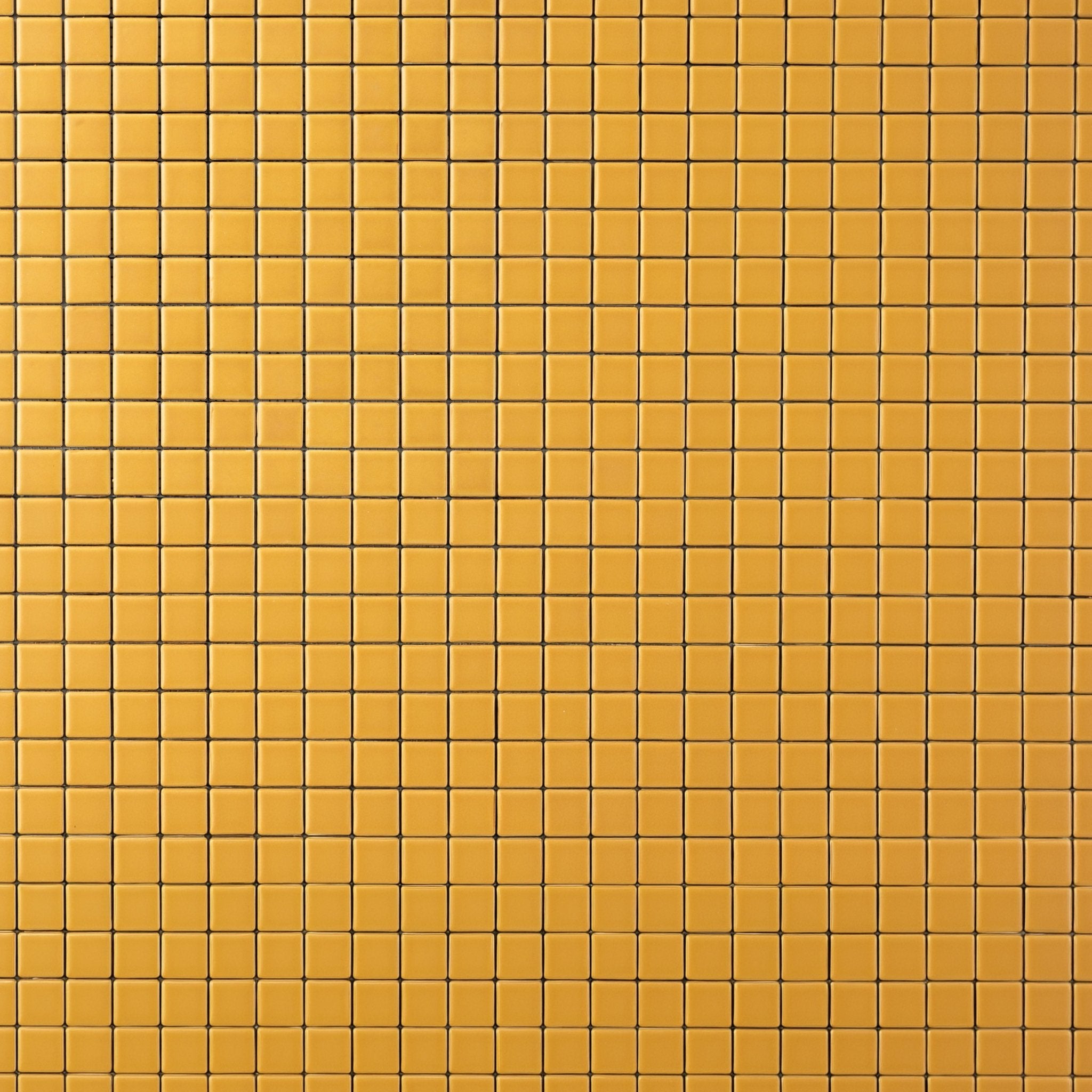 Chroma Grid | Dijon Yellow 1x1" Square Matte Mosaic Tile - Cemento Collection