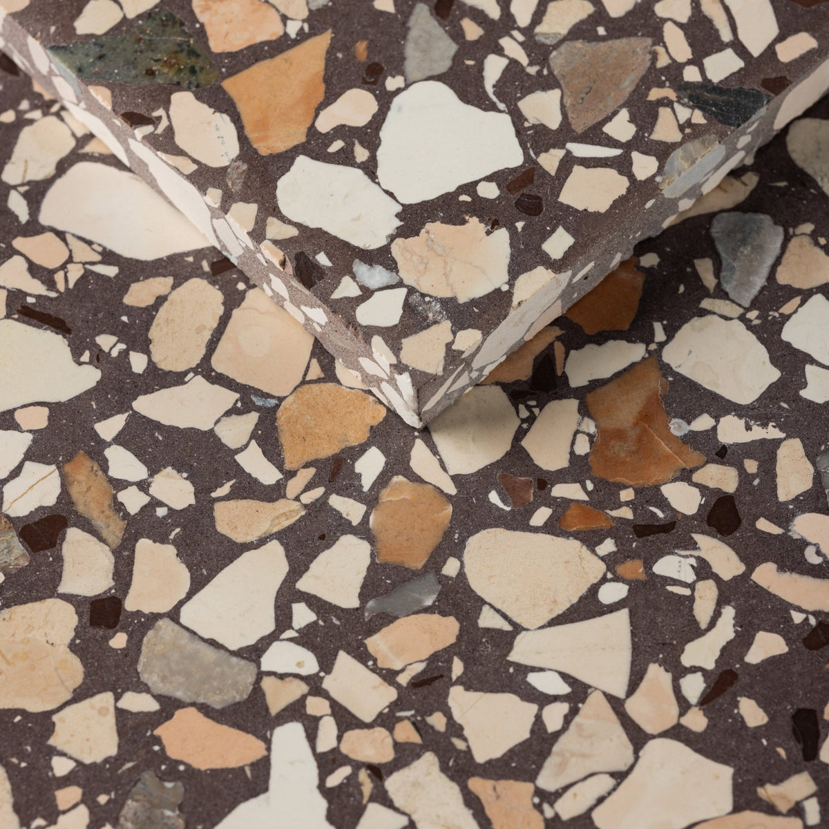 Cirella Plum 16x16 Terrazzo Tile - Cemento Collection