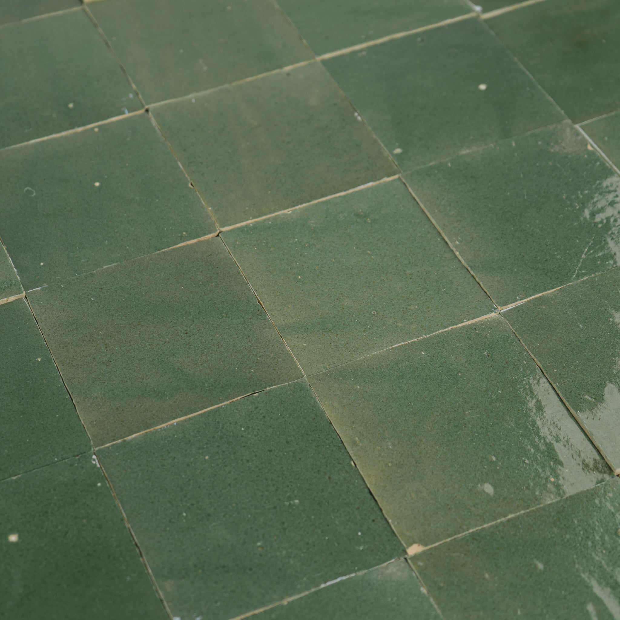 Handmade Moroccan Zellige 4x4 Moss Green Terracotta Tile | Cemento