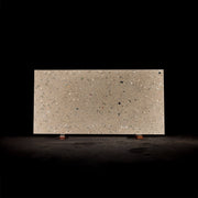 Licosa Soil Terrazzo - Slab - Cemento Collection