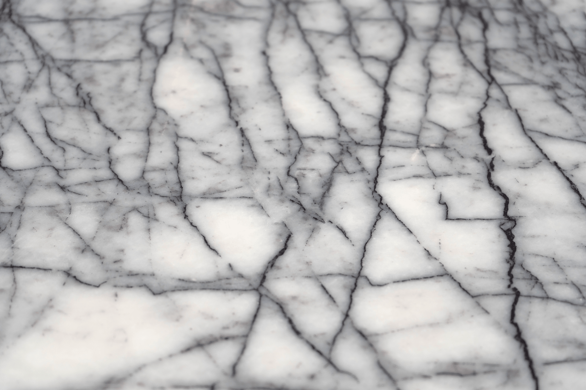 Lilac Marble 12x24 Honed Field Tile - Cemento Collection