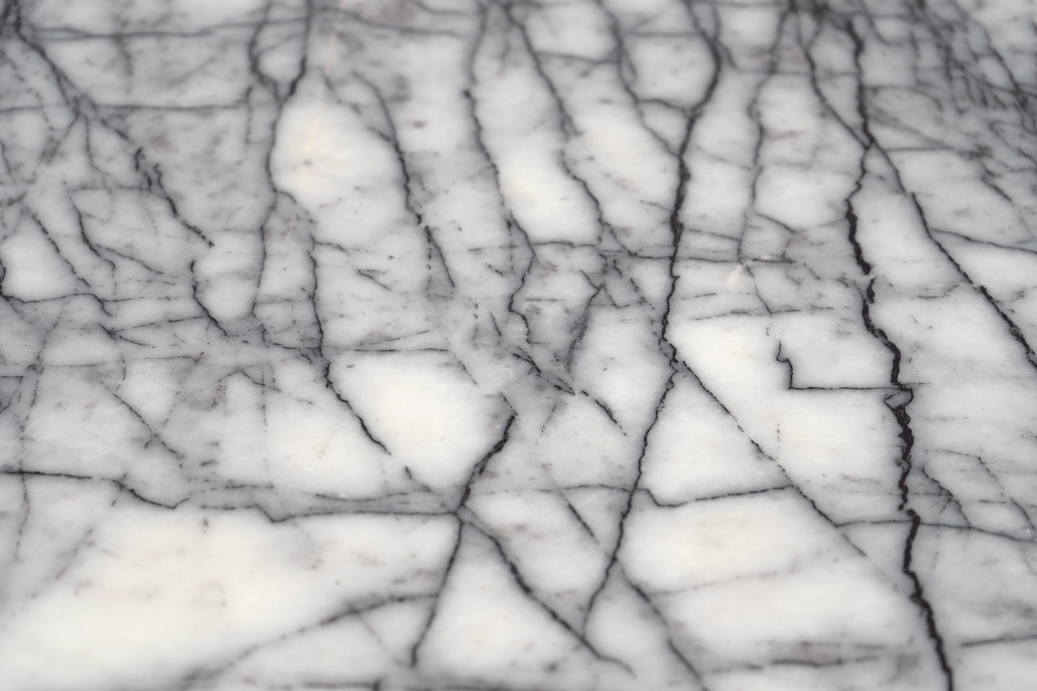 Lilac Marble 12x24 Honed Field Tile - Cemento Collection
