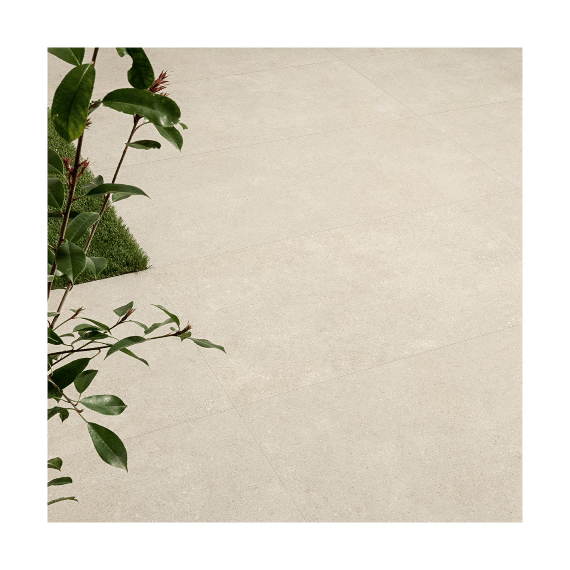 Lime Stone Ecru White Rectified Porcelain Tile 24x24 Porcelain Tile - Cemento Collection