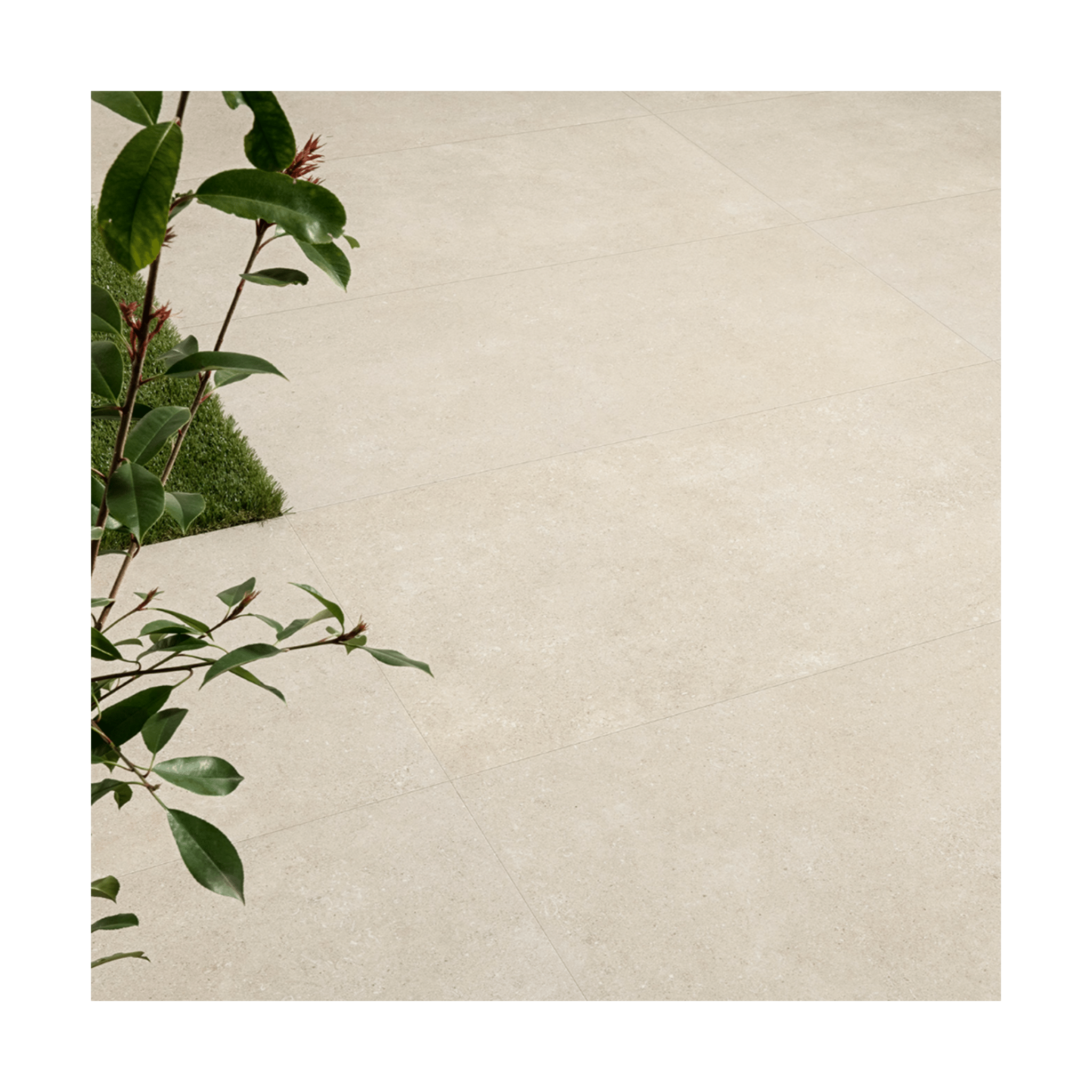 Lime Stone Ecru White Rectified Porcelain Tile 24x24 Porcelain Tile - Cemento Collection