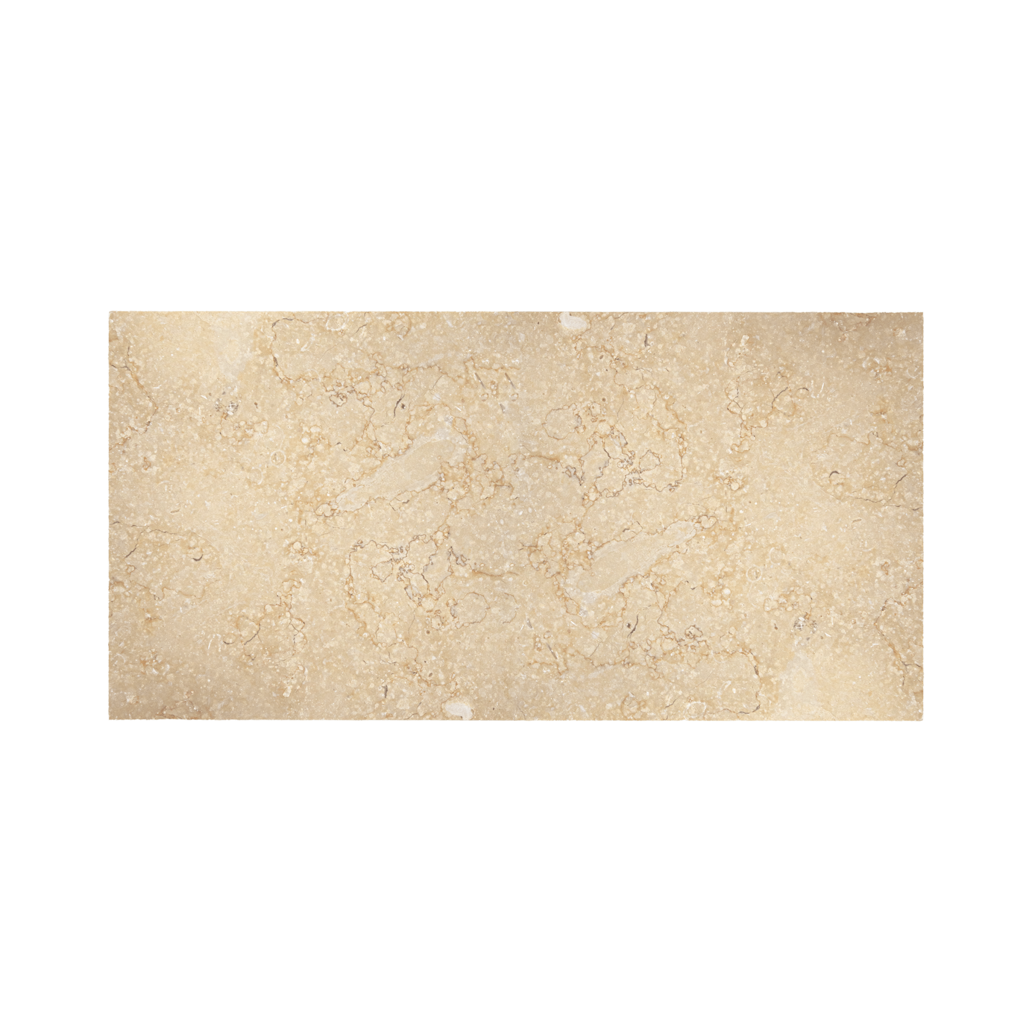 Limestone 12x24 Cream Honed Tile - Cemento Collection