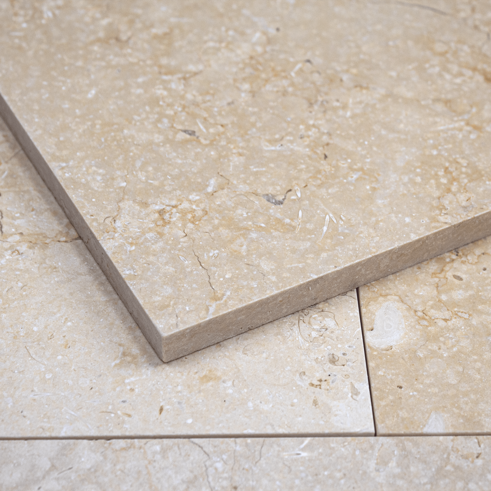 Limestone 12x24 Cream Honed Tile - Cemento Collection