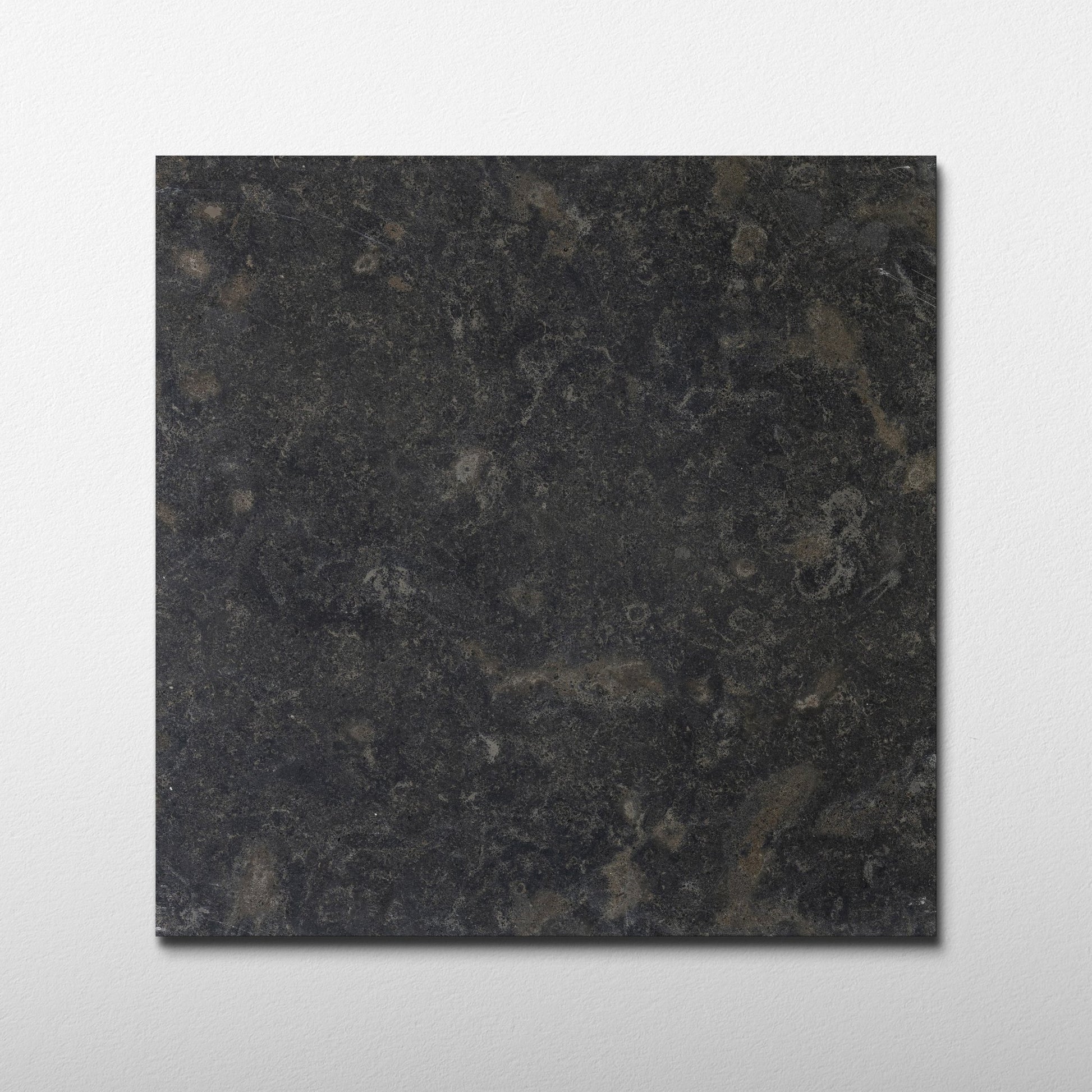 Lisbon Fossil Limestone 16x16 Leathered Tile - Cemento Collection