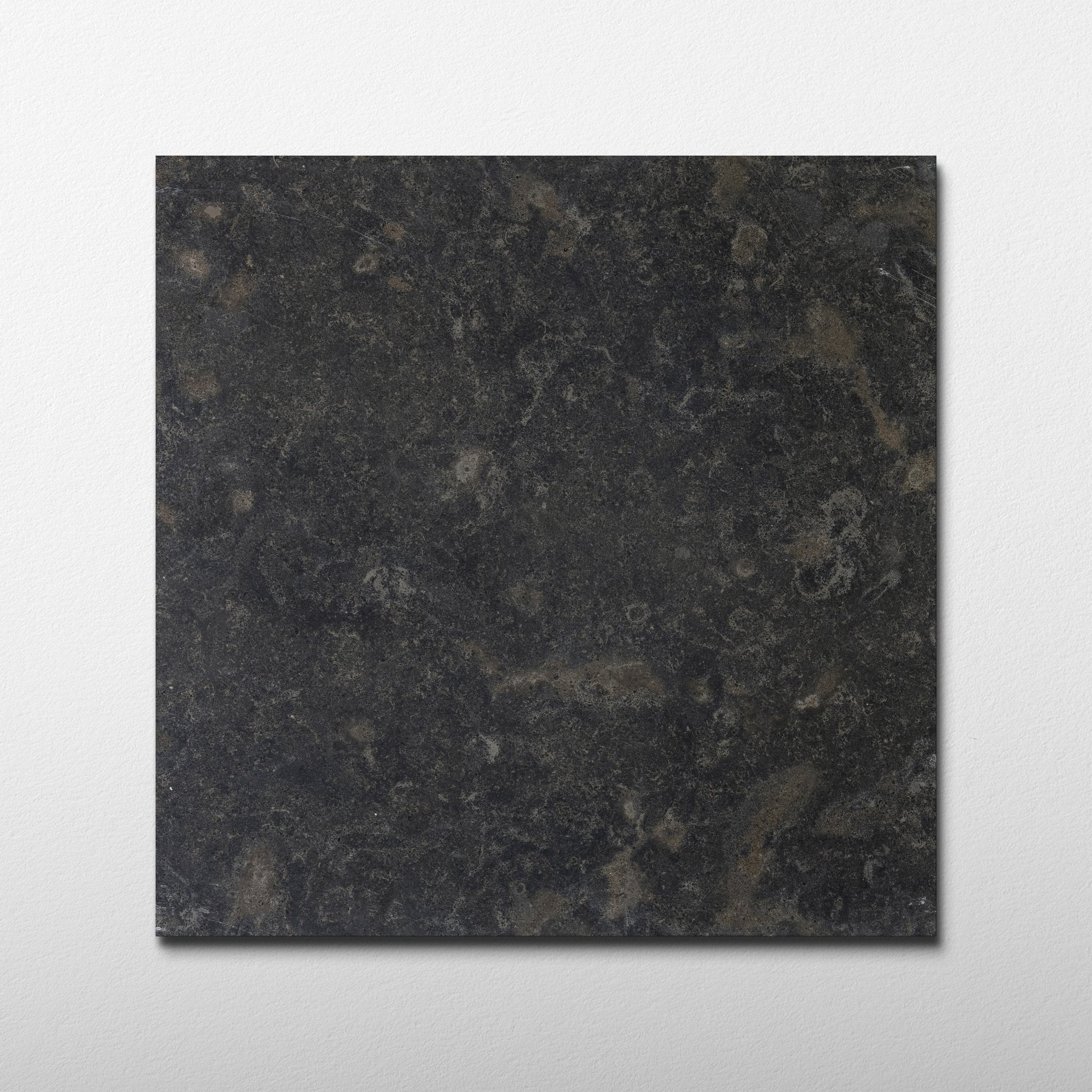Lisbon Fossil Limestone 16x16 Leathered Tile - Cemento Collection
