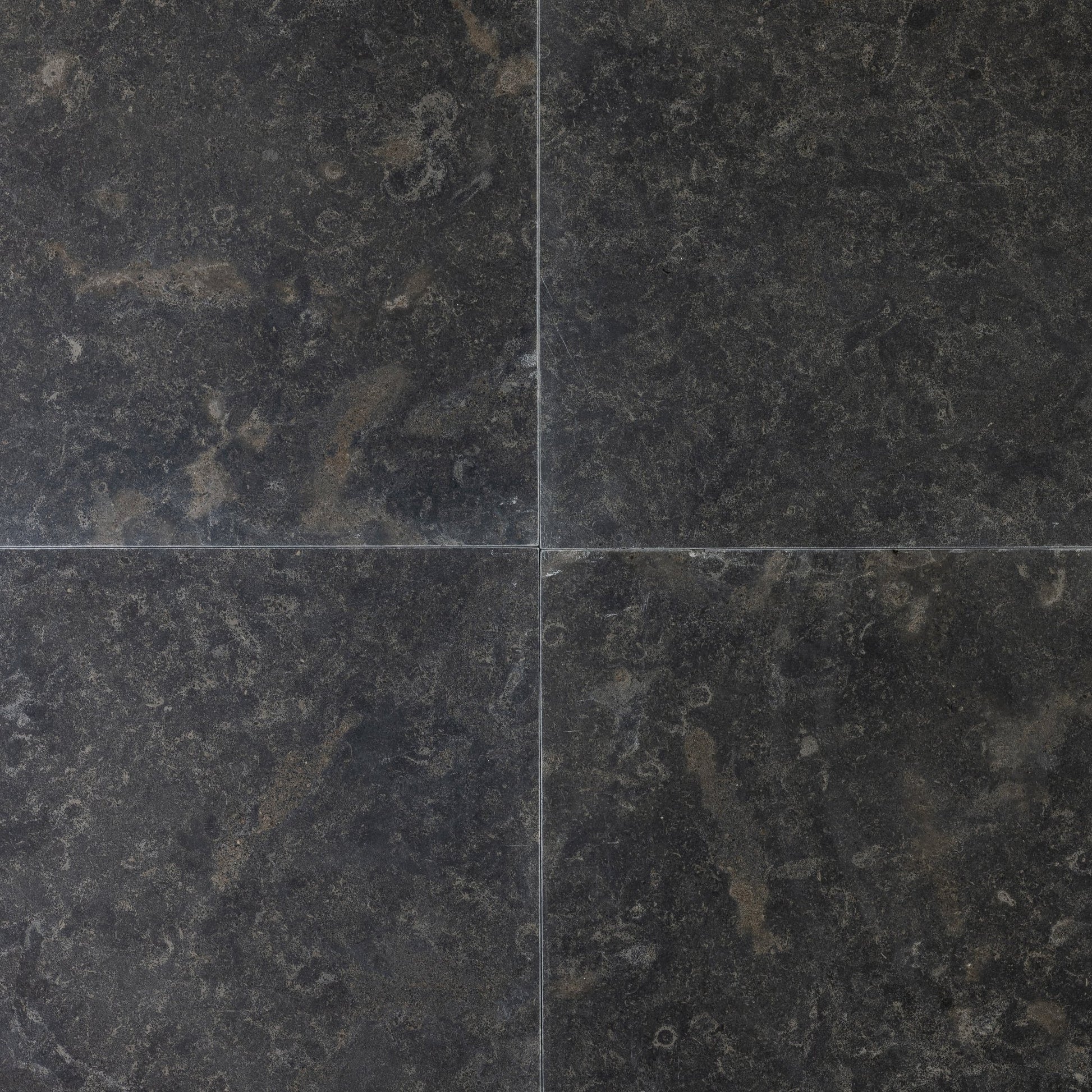 Lisbon Fossil Limestone 16x16 Leathered Tile - Cemento Collection