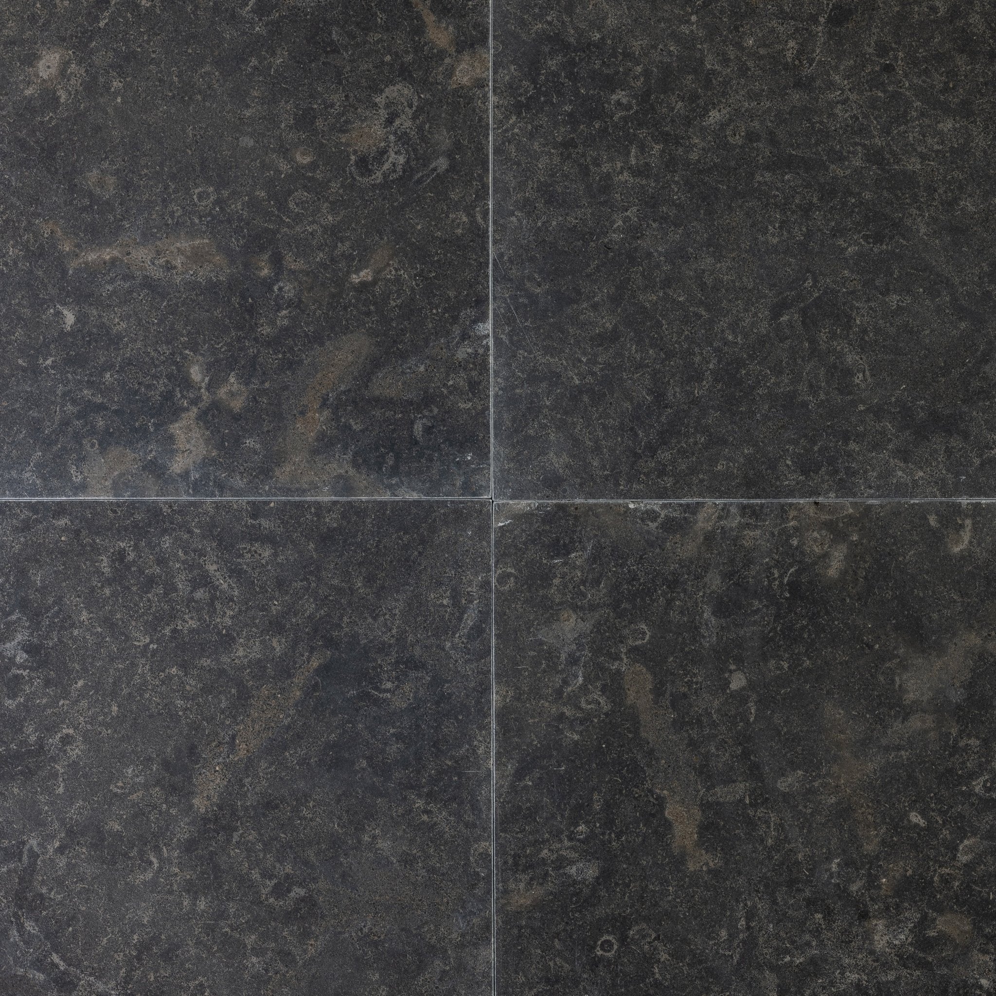 Lisbon Fossil Limestone 16x16 Leathered Tile - Cemento Collection