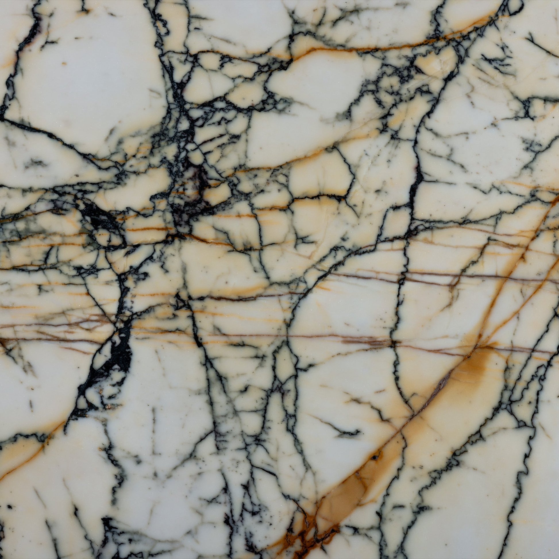 Paonazzo Marble Polished Slab - Cemento Collection