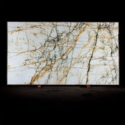 Paonazzo Marble Polished Slab - Cemento Collection