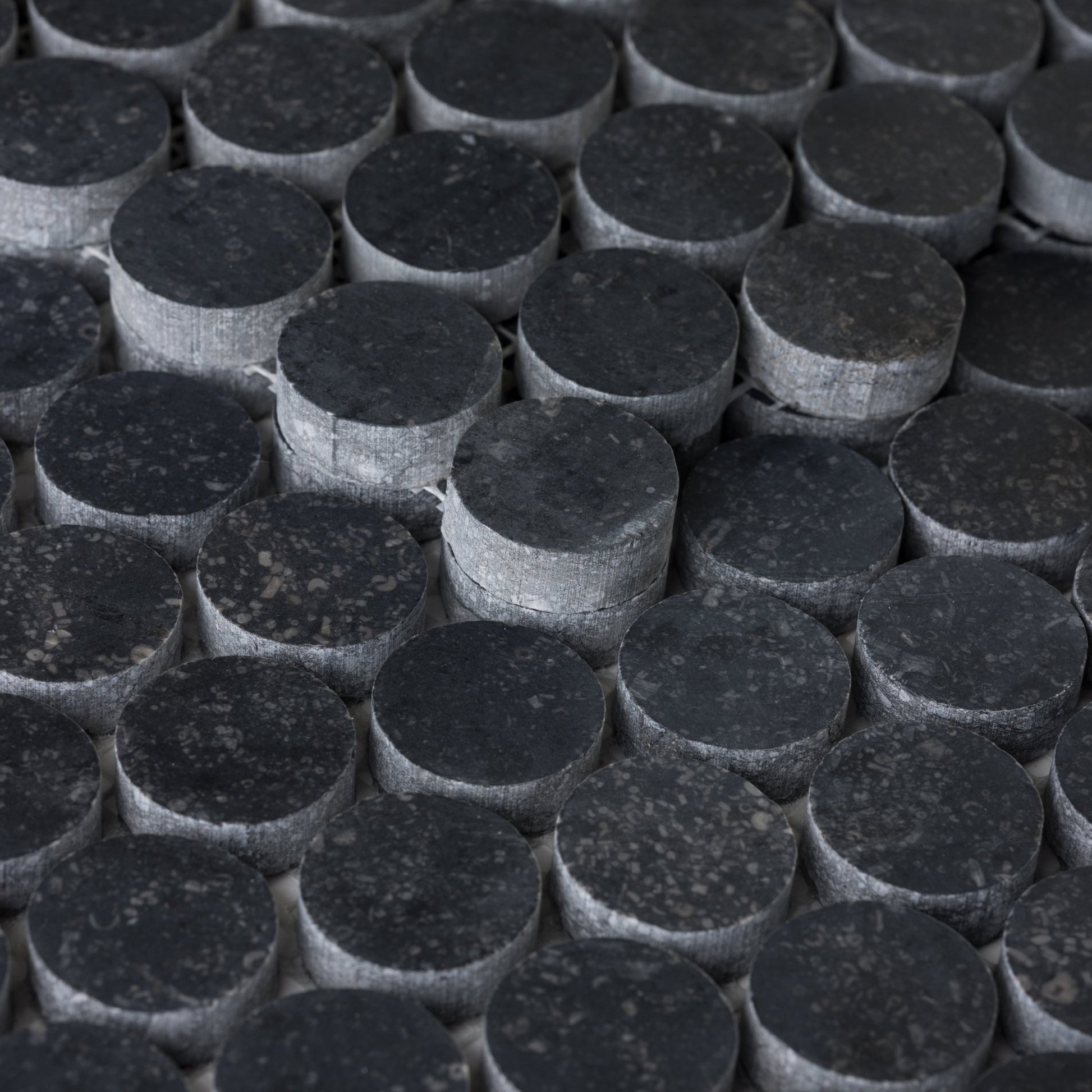 Penny Round 1" Belgian Bluestone Limestone Honed Mosaic Tile - Cemento Collection
