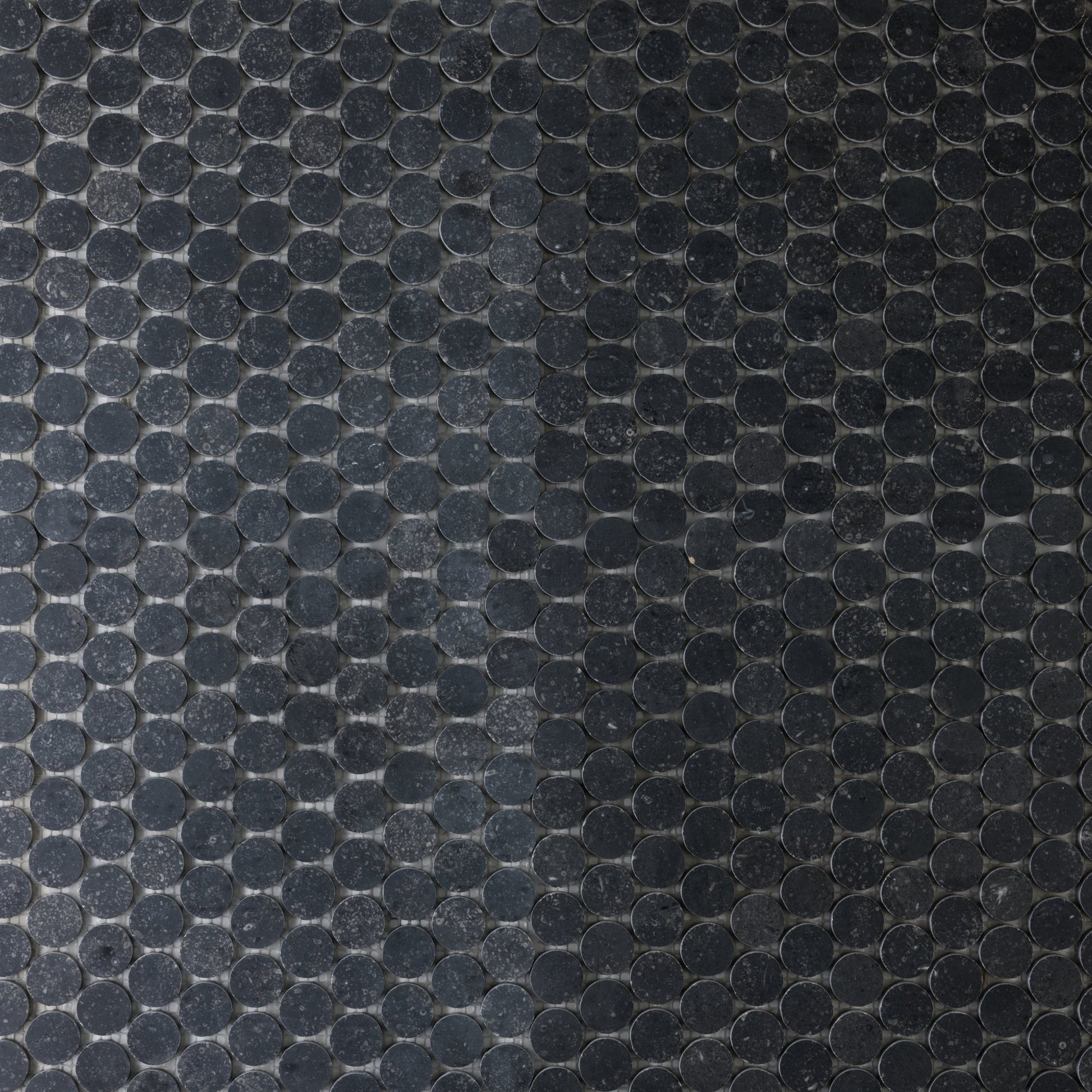 Penny Round 1" Belgian Bluestone Limestone Honed Mosaic Tile - Cemento Collection