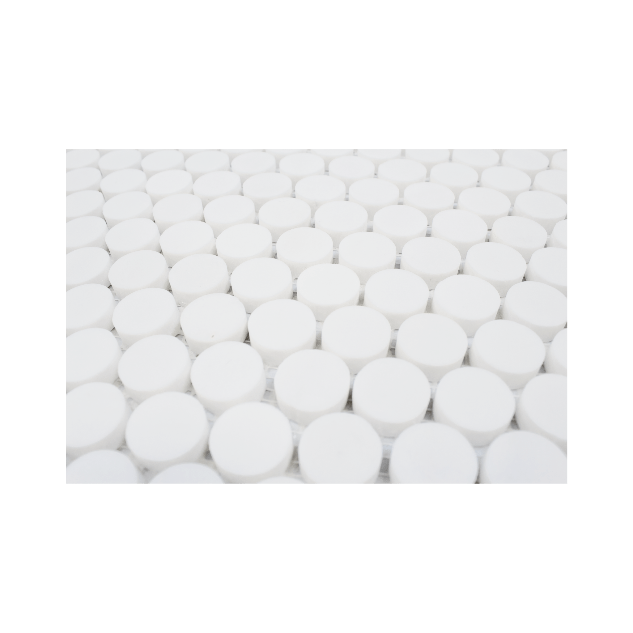 Penny Round 1" Bianco Dolomite Marble Honed Mosaic Tile - Cemento Collection