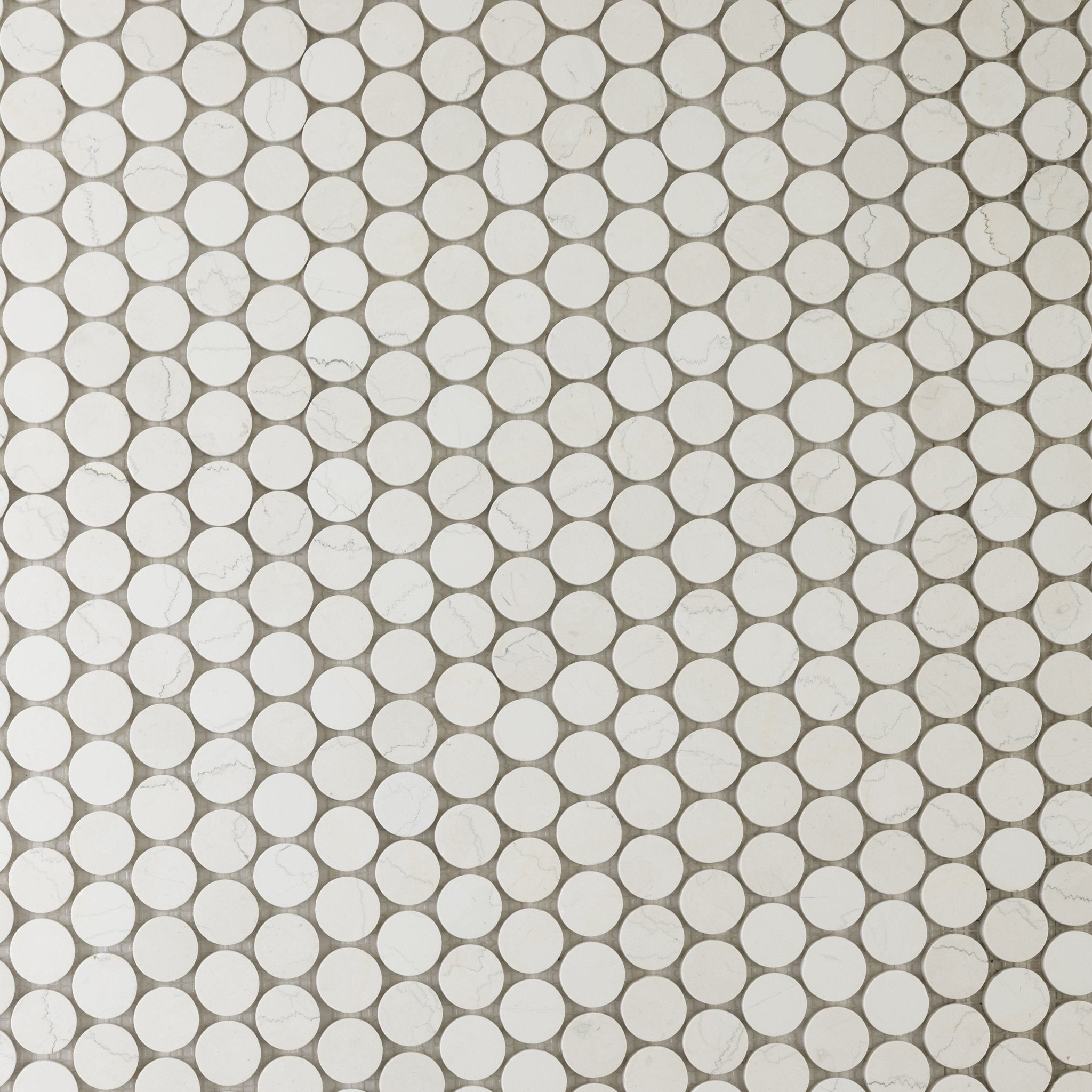 Penny Round 1" Bianco Perlino Marble Honed Mosaic Tile - Cemento Collection