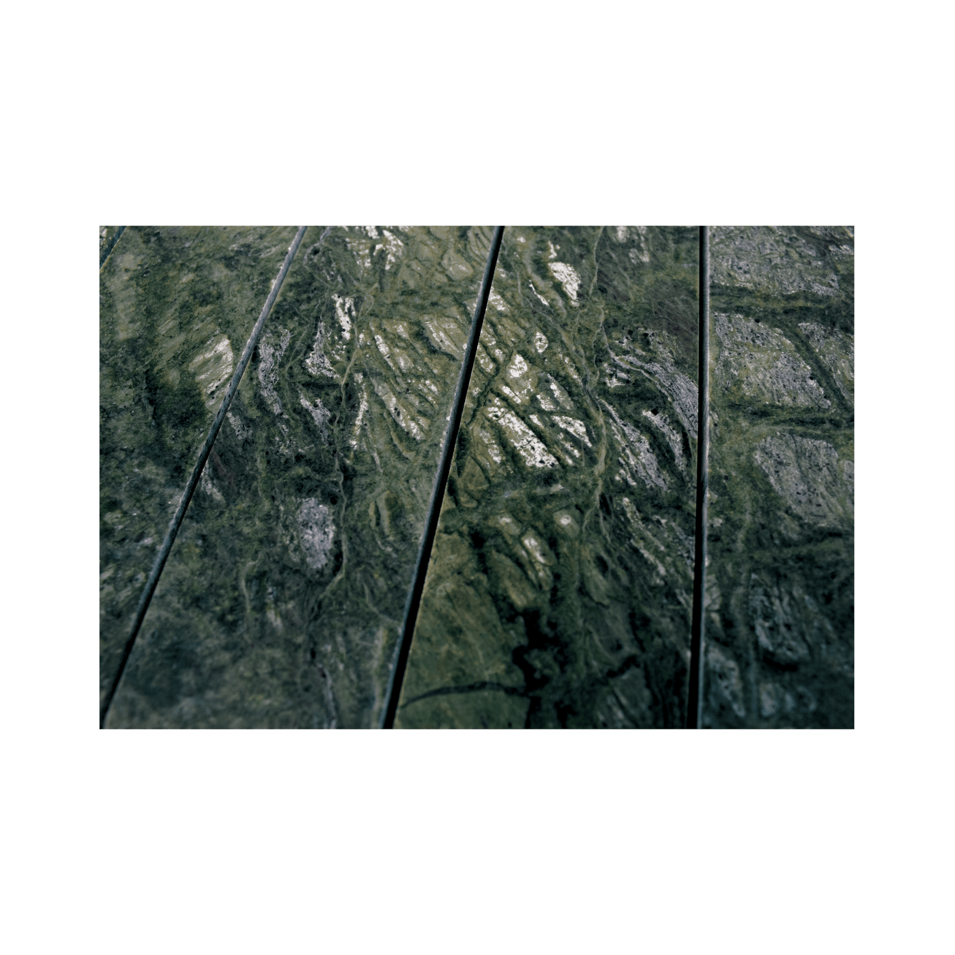 Pill Shape Verde Alpi Marble Honed Mosaic Tile - Cemento Collection