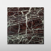 Rosso Levanto Marble 20x20 Polished Field Tile - Cemento Collection