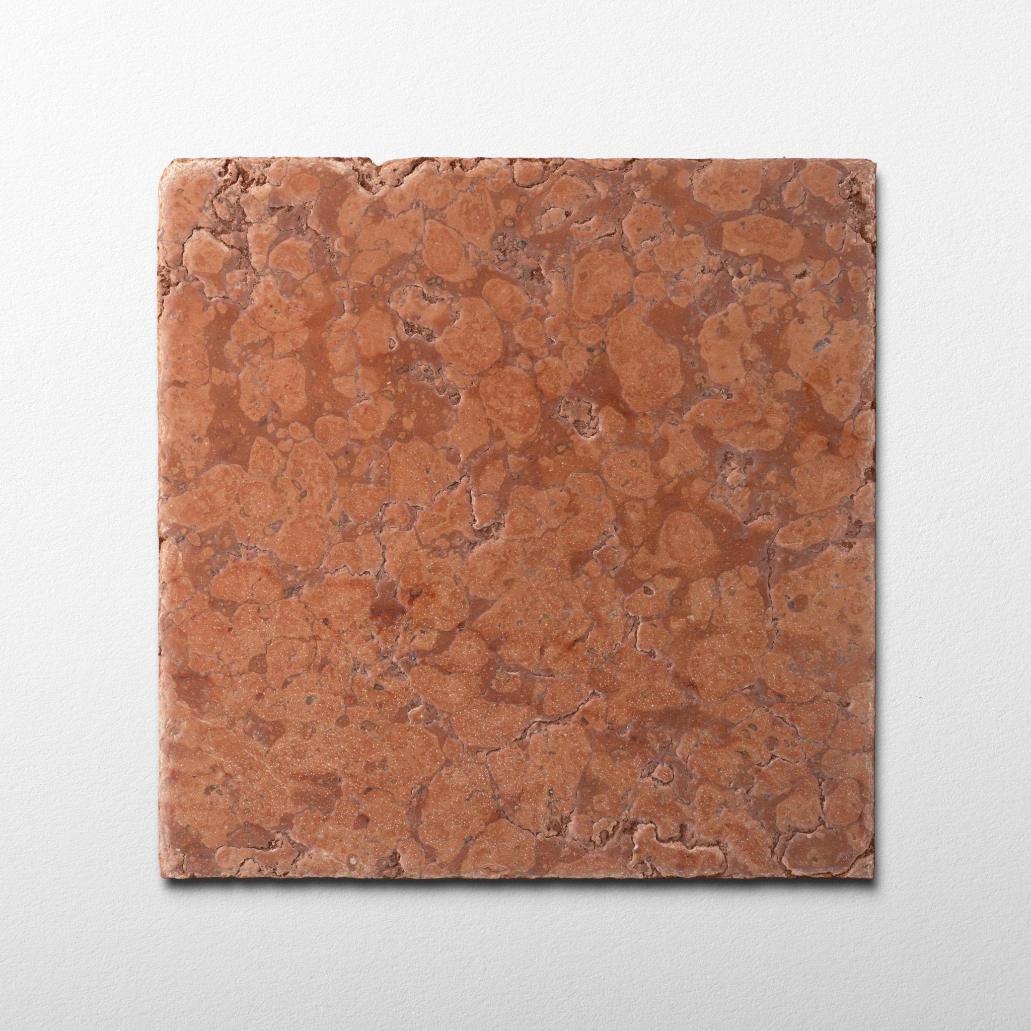 Rosso Verona Marble 12x12 Patina Tile | Cemento Collection