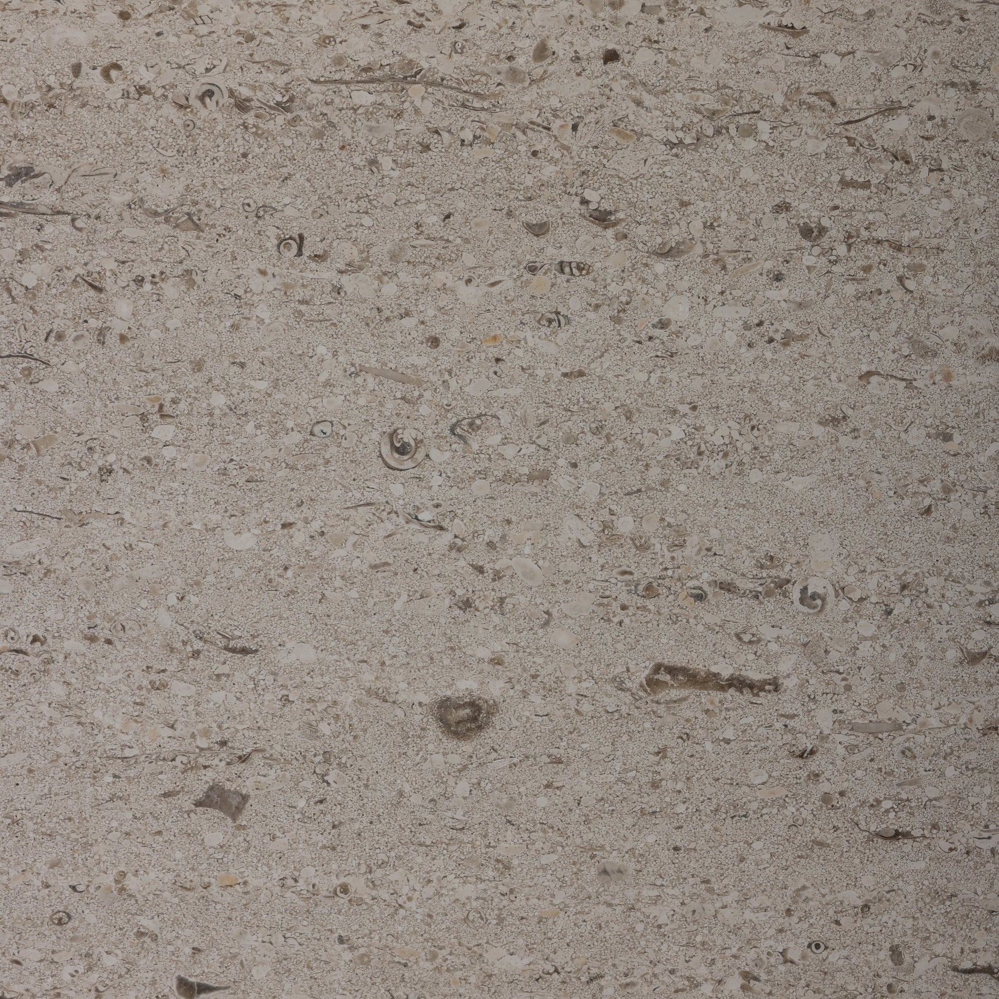 Salema Creme Limestone 16x16 Brushed Tile - Cemento Collection