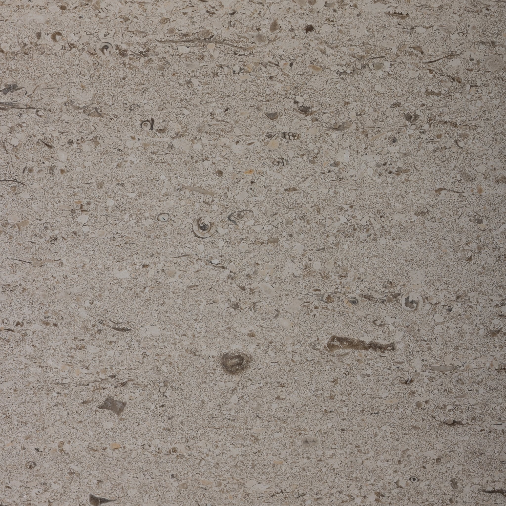 Salema Creme Limestone 16x16 Brushed Tile - Cemento Collection