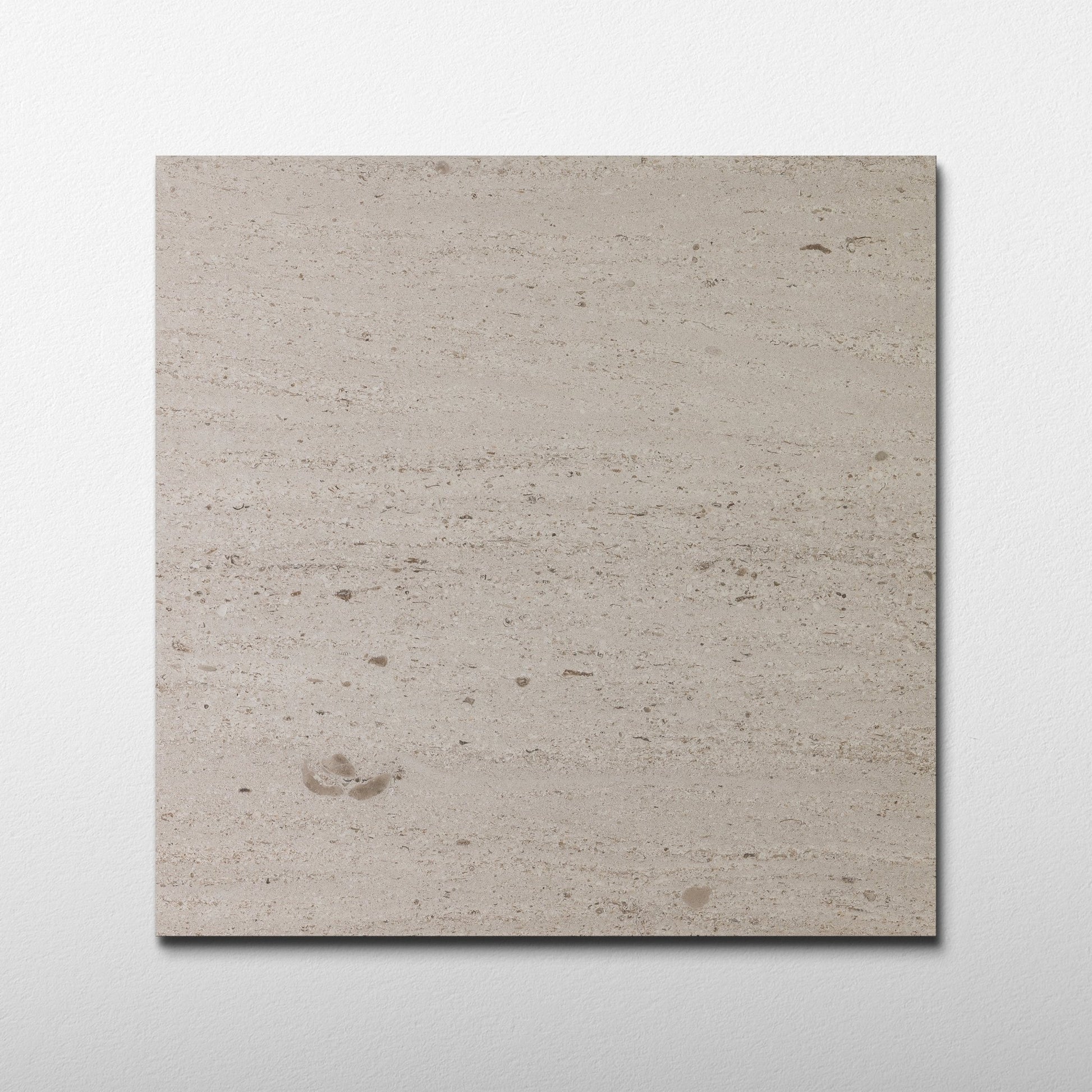 Salema Creme Limestone 16x16 Brushed Tile - Cemento Collection