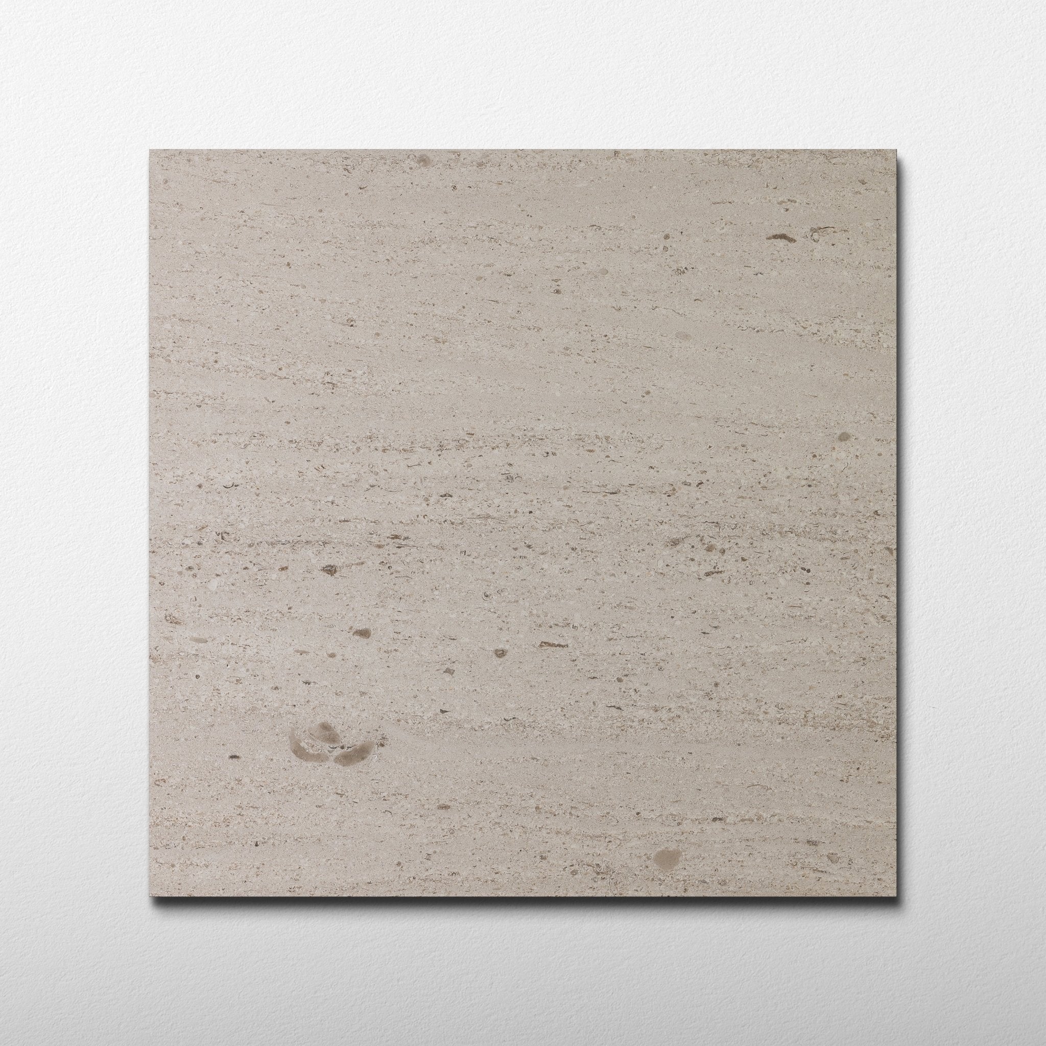 Salema Creme Limestone 16x16 Brushed Tile - Cemento Collection