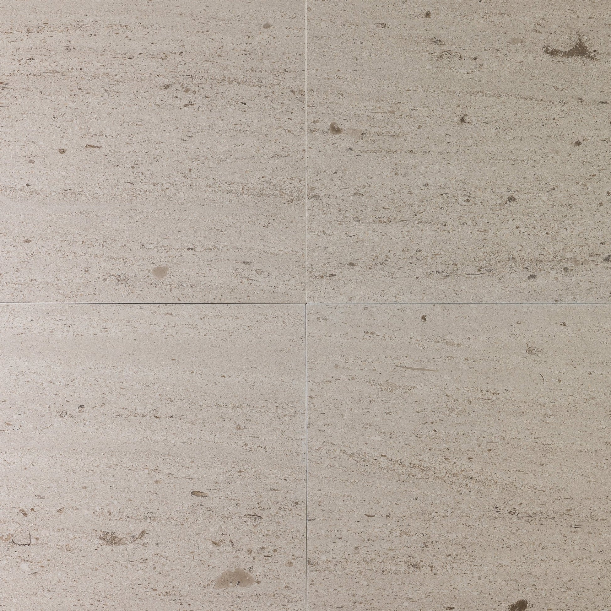 Salema Creme Limestone 16x16 Brushed Tile - Cemento Collection