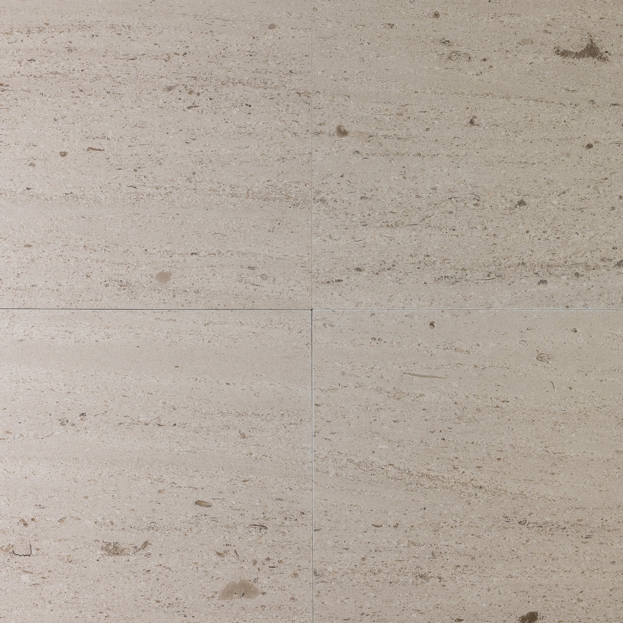 Salema Creme Limestone 16x16 Brushed Tile - Cemento Collection