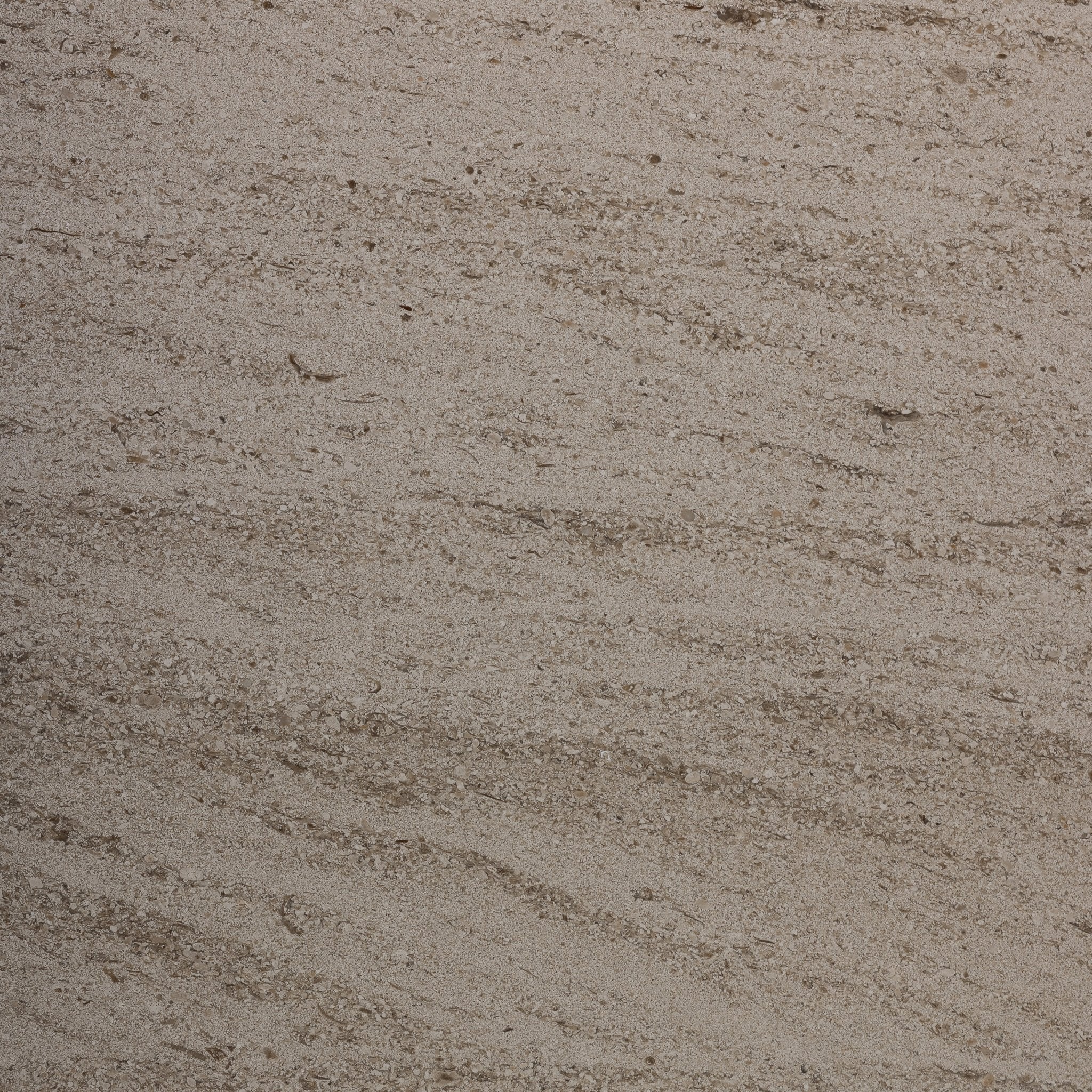 Salema Creme Limestone 16x16 Honed Tile - Cemento Collection