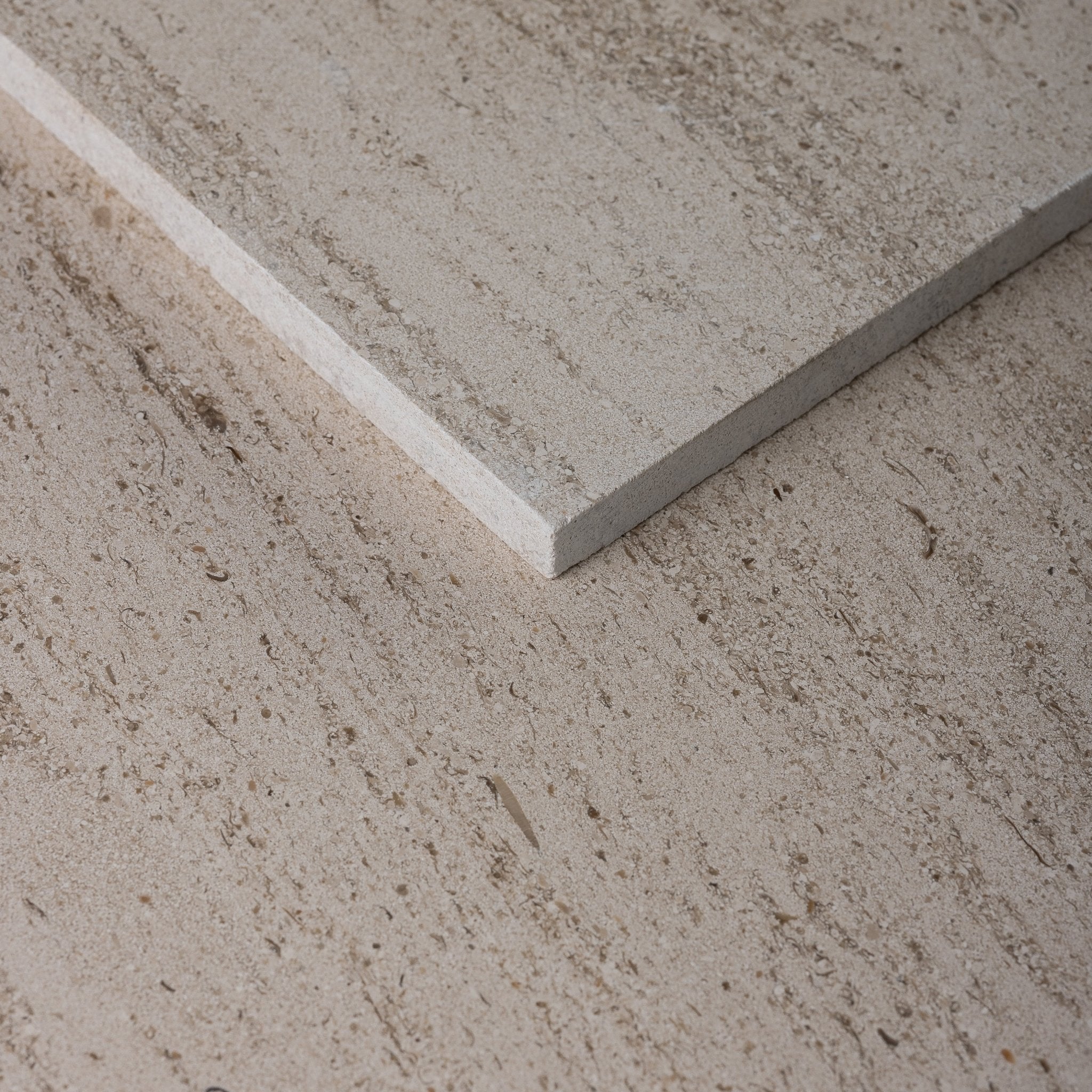 Salema Creme Limestone 16x16 Honed Tile - Cemento Collection