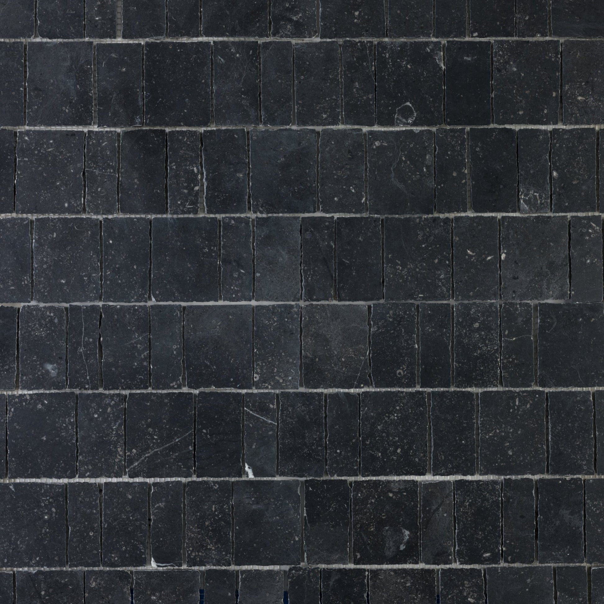 Scarpa Belgian Bluestone Limestone Honed Mosaic Tile - Cemento Collection