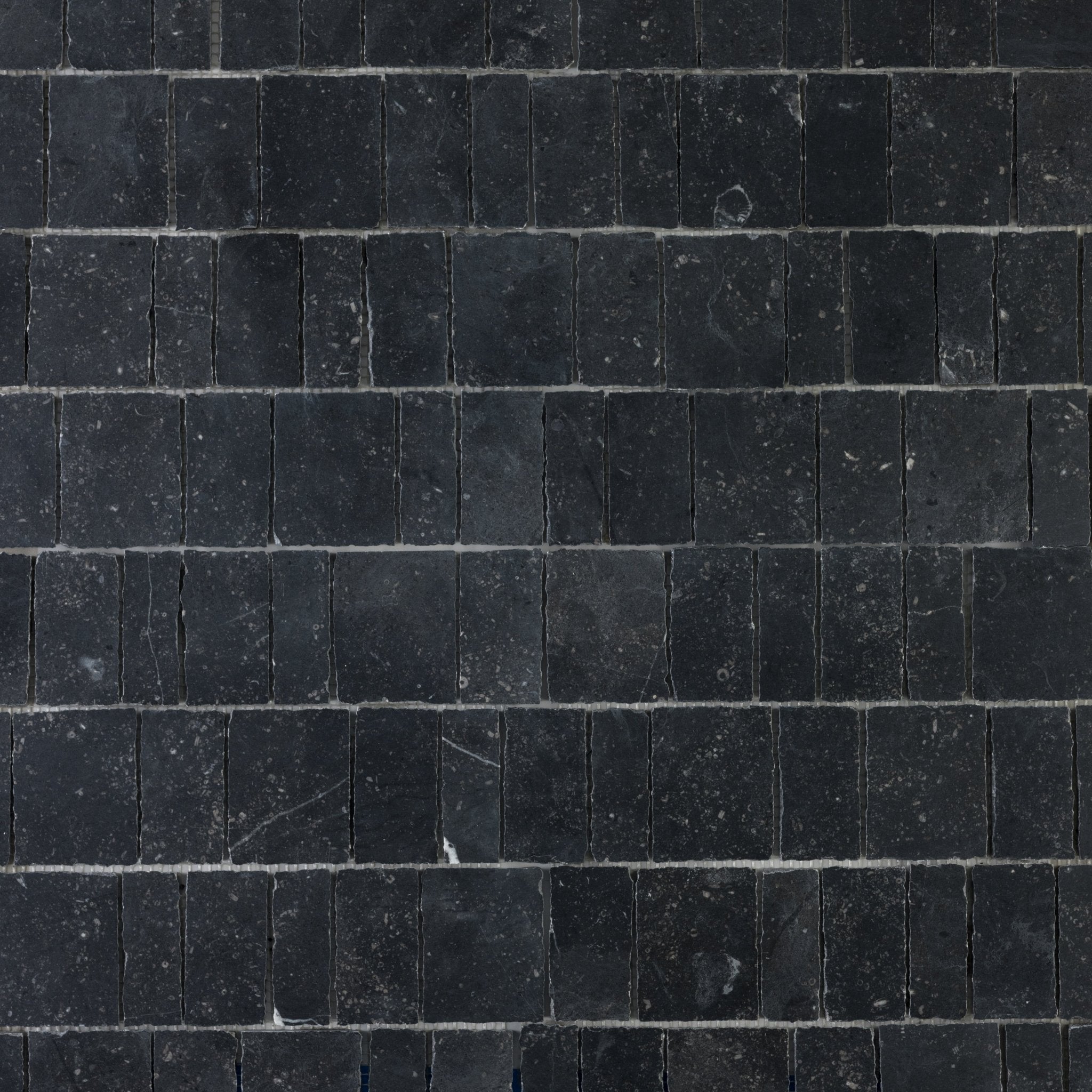 Scarpa Belgian Bluestone Limestone Honed Mosaic Tile - Cemento Collection