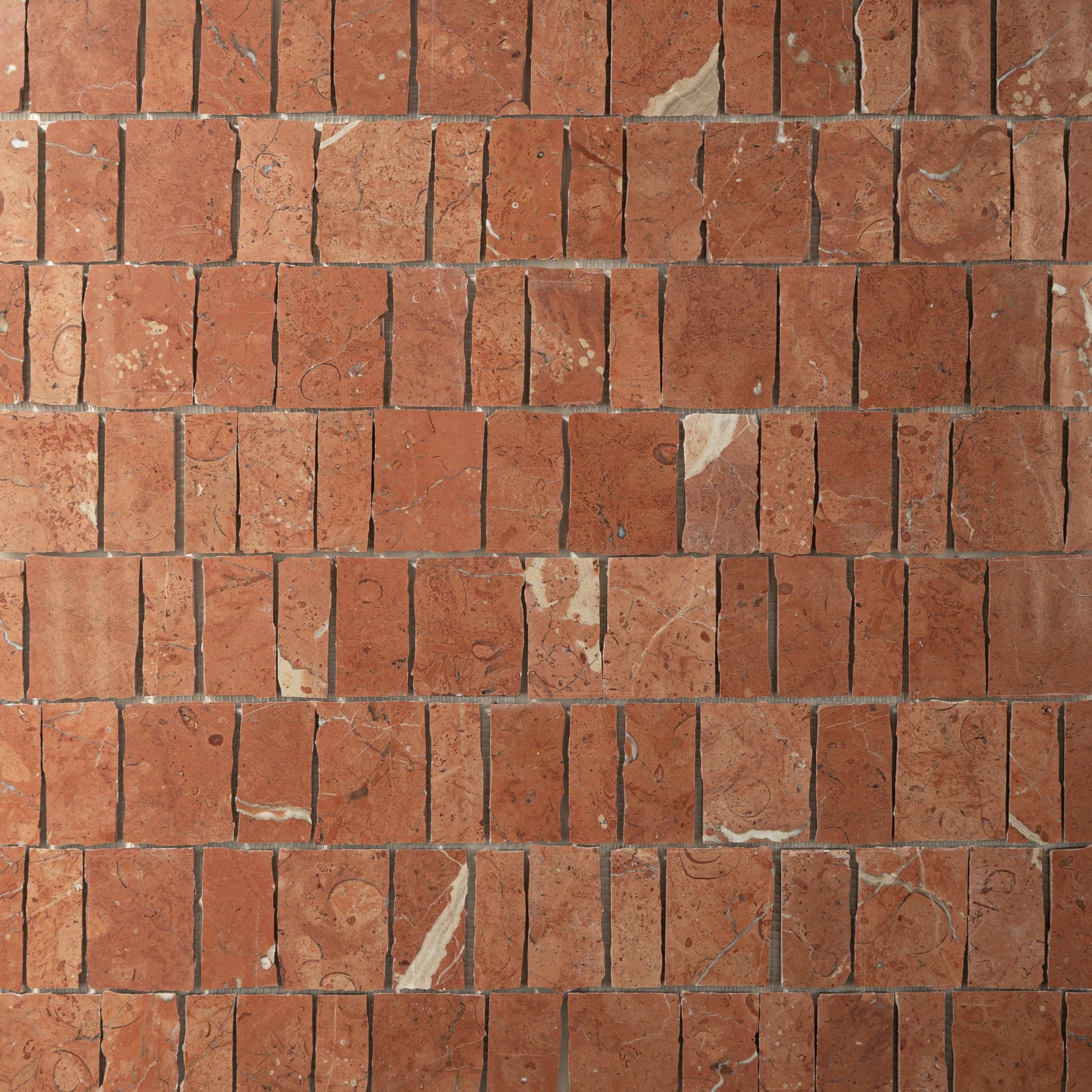 Scarpa Rojo Alicante Mosaic Tile