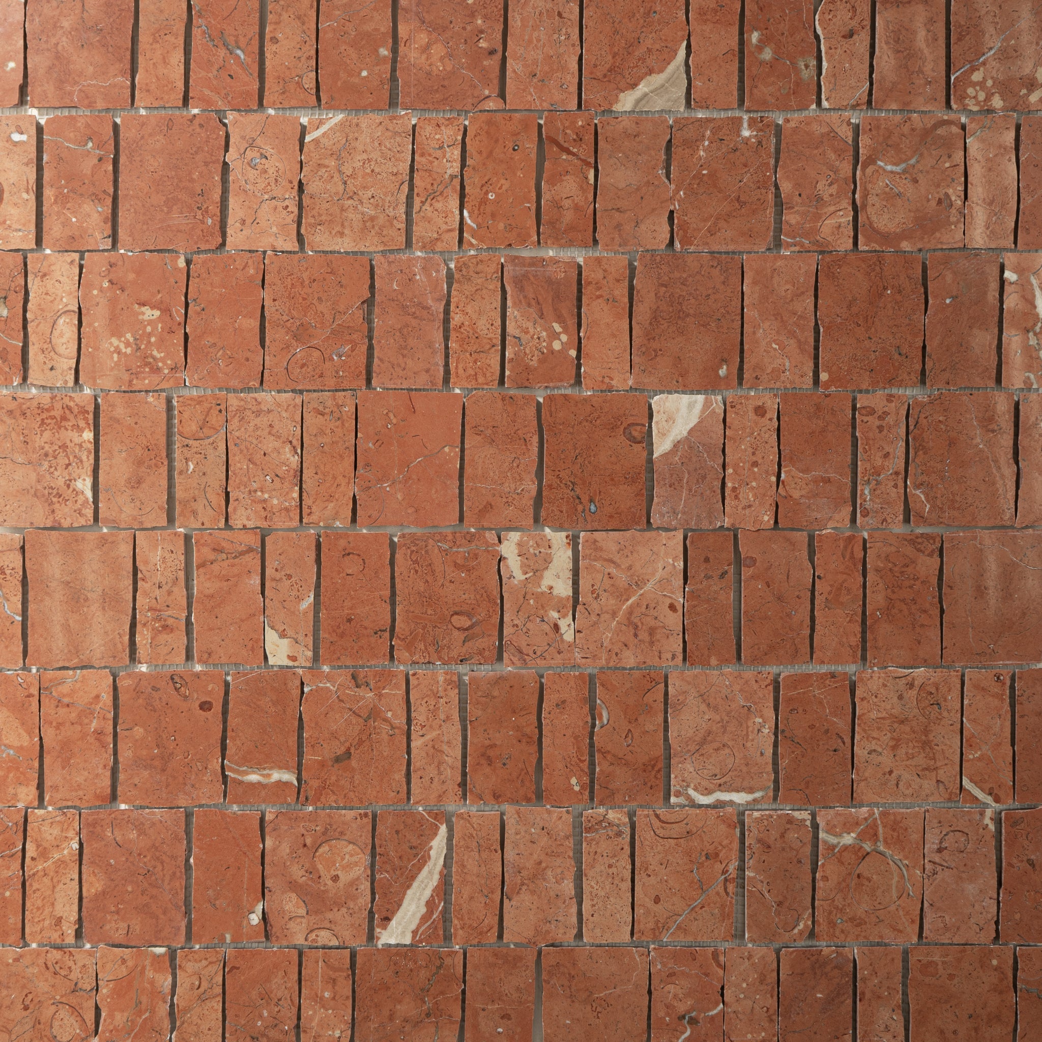 Scarpa Rojo Alicante Mosaic Tile