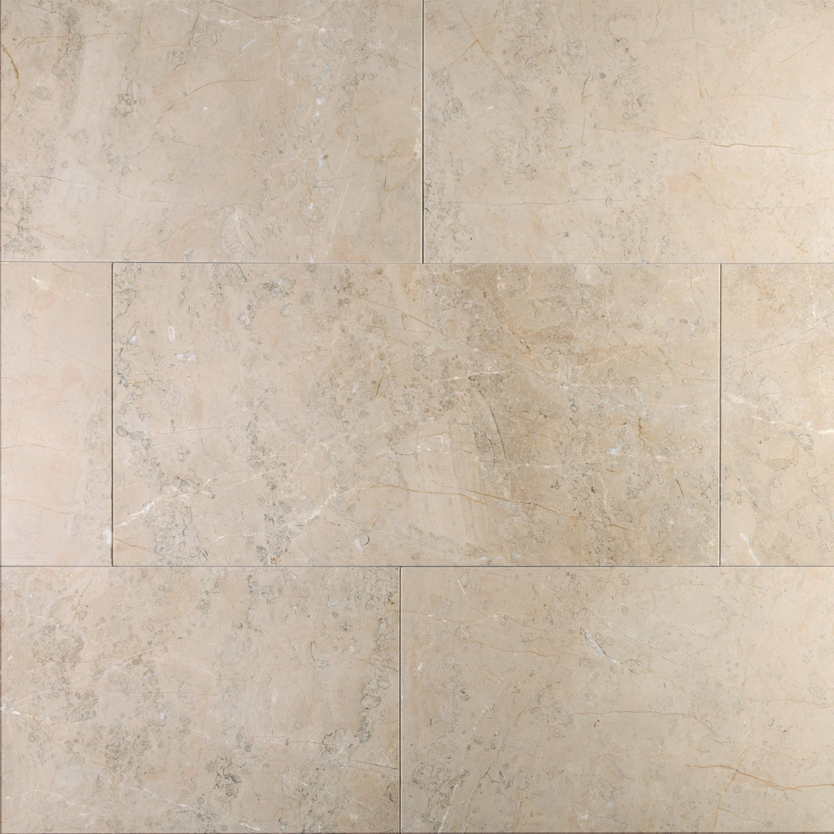 Sorrento Marble 12x24 Honed Field Tile - Cemento Collection