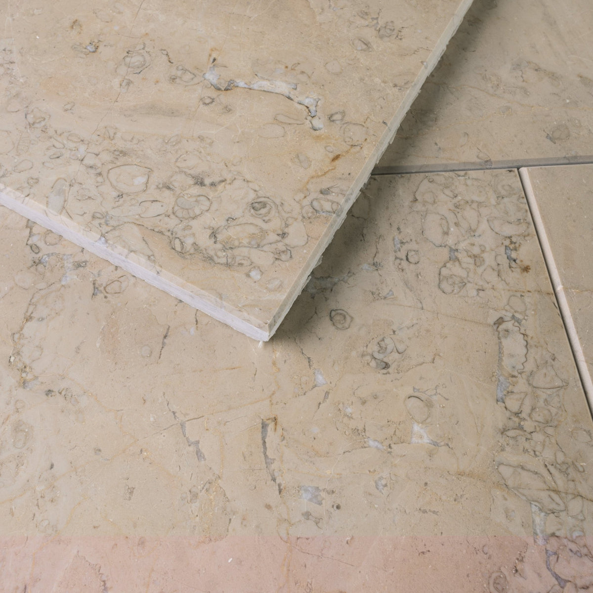Sorrento Marble 12x24 Honed Field Tile - Cemento Collection