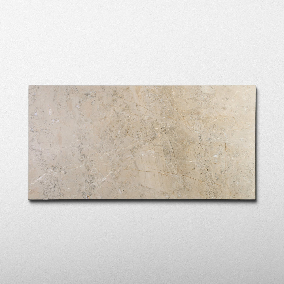 Sorrento Marble 12x24 Honed Field Tile - Cemento Collection