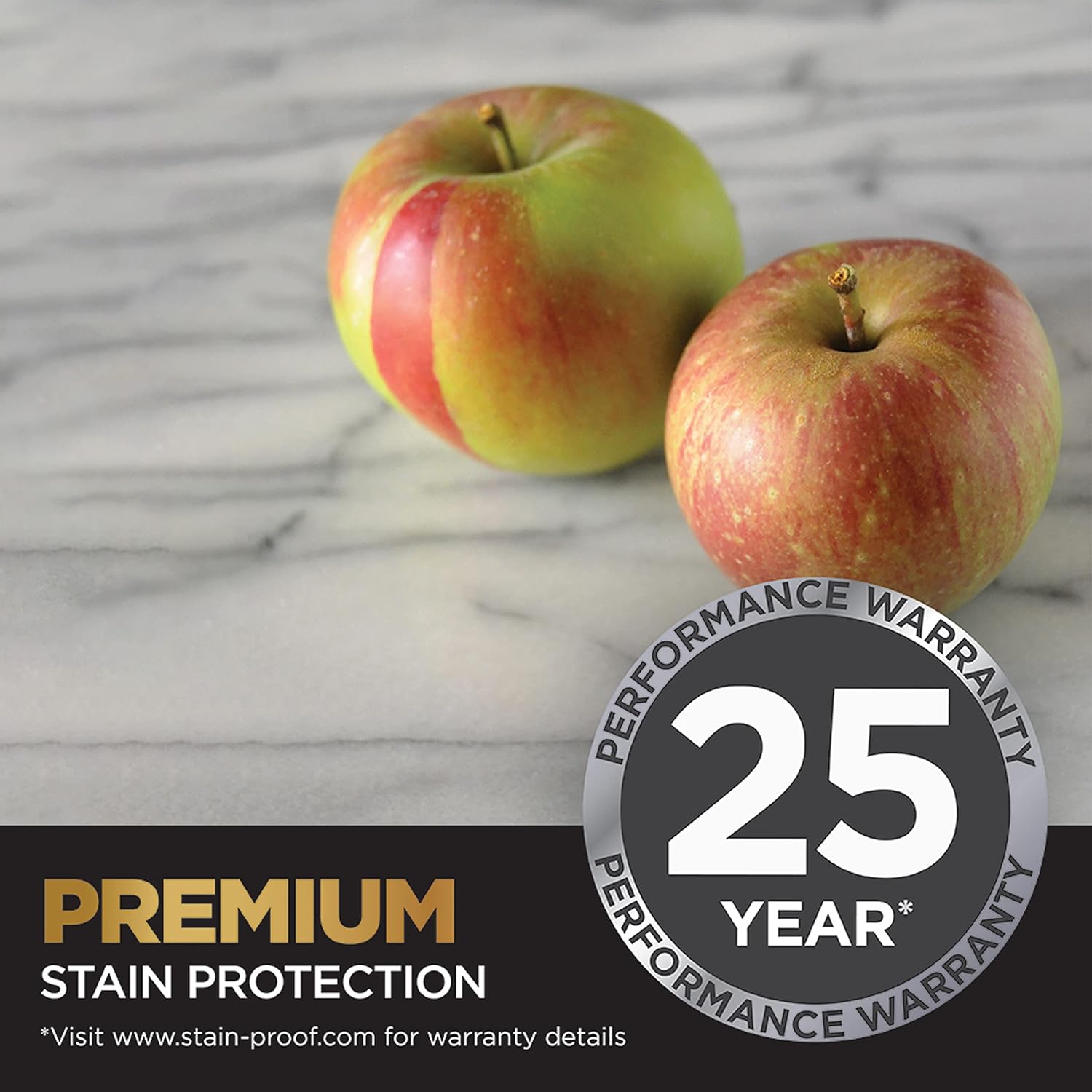 Stain Proof by Dry Treat - Premium Impregnating Sealer PLUS - 16 fl. Oz. (473 mL) - Cemento Collection