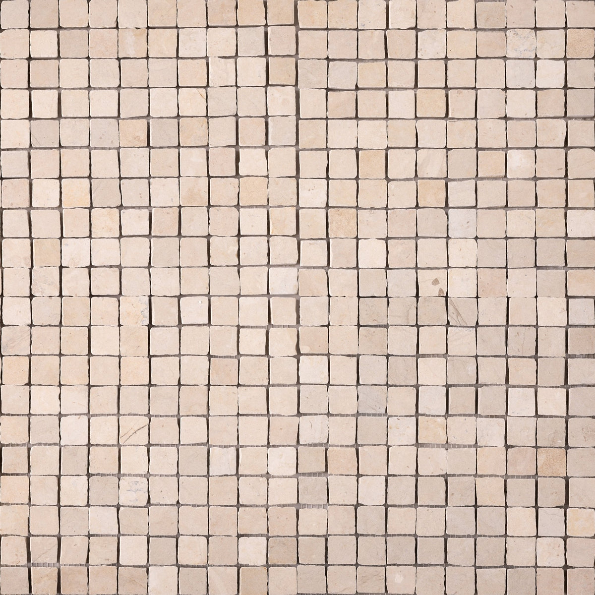 Thala Beige 1x1 Patina Marble Mosaic Tile - Cemento Collection