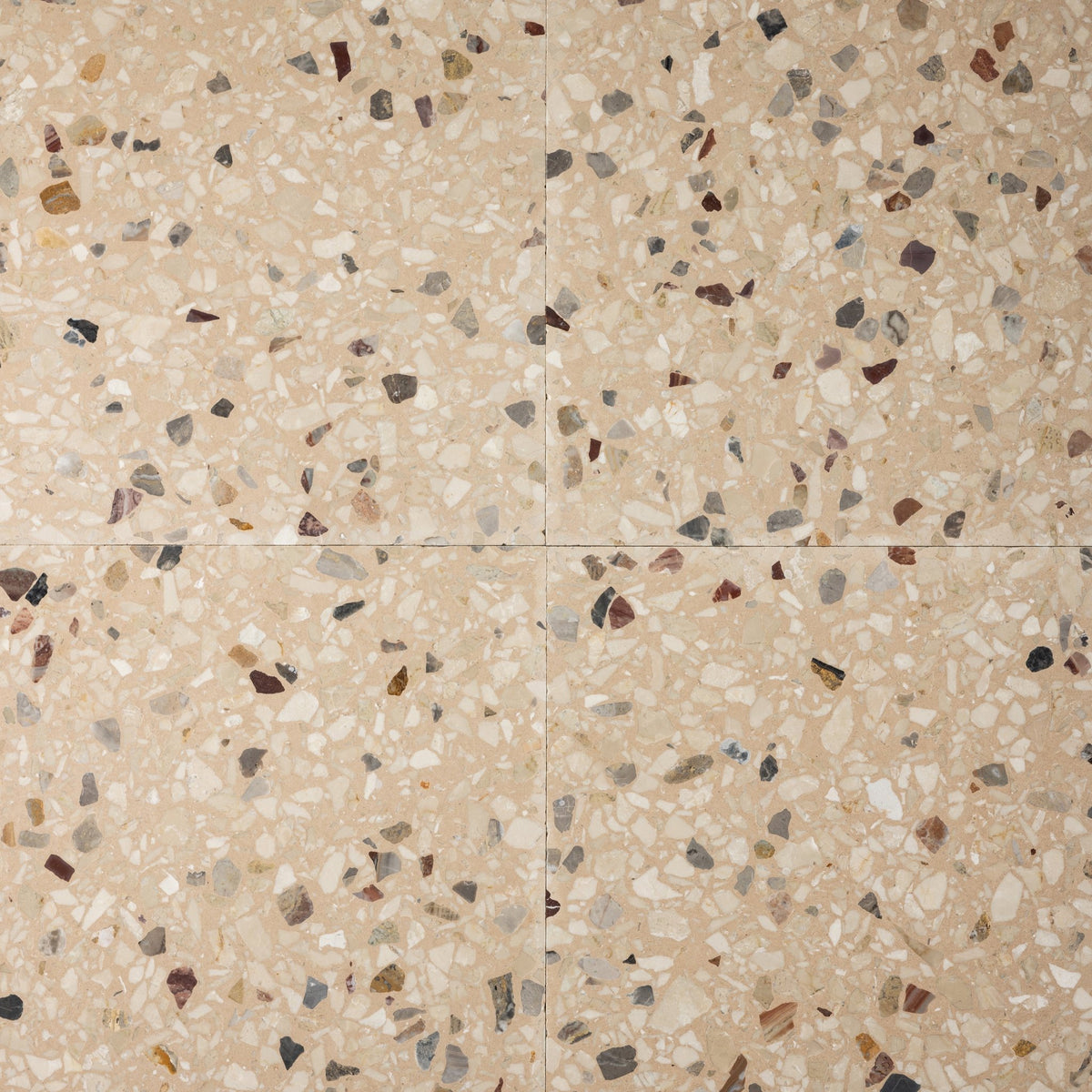 Vetara Soil 16x16 Terrazzo Tile - Cemento Collection