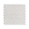 White Shiny Penny Round Mosaic